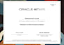 provide netsuite accounting and erp consulting